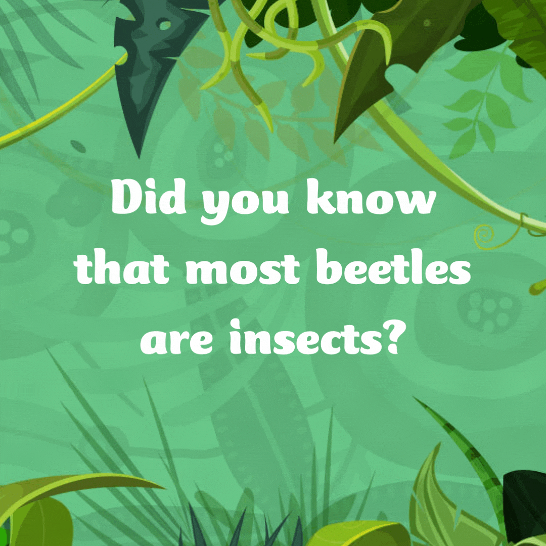 Did you know that most beetles are insects? The rest of them are small cars!