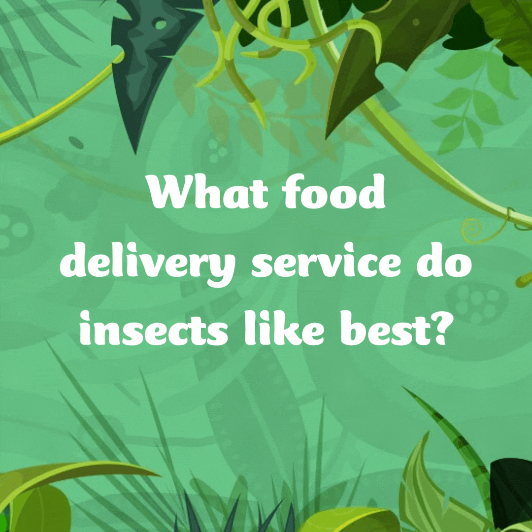 What food delivery service do insects like best? Grub hub!