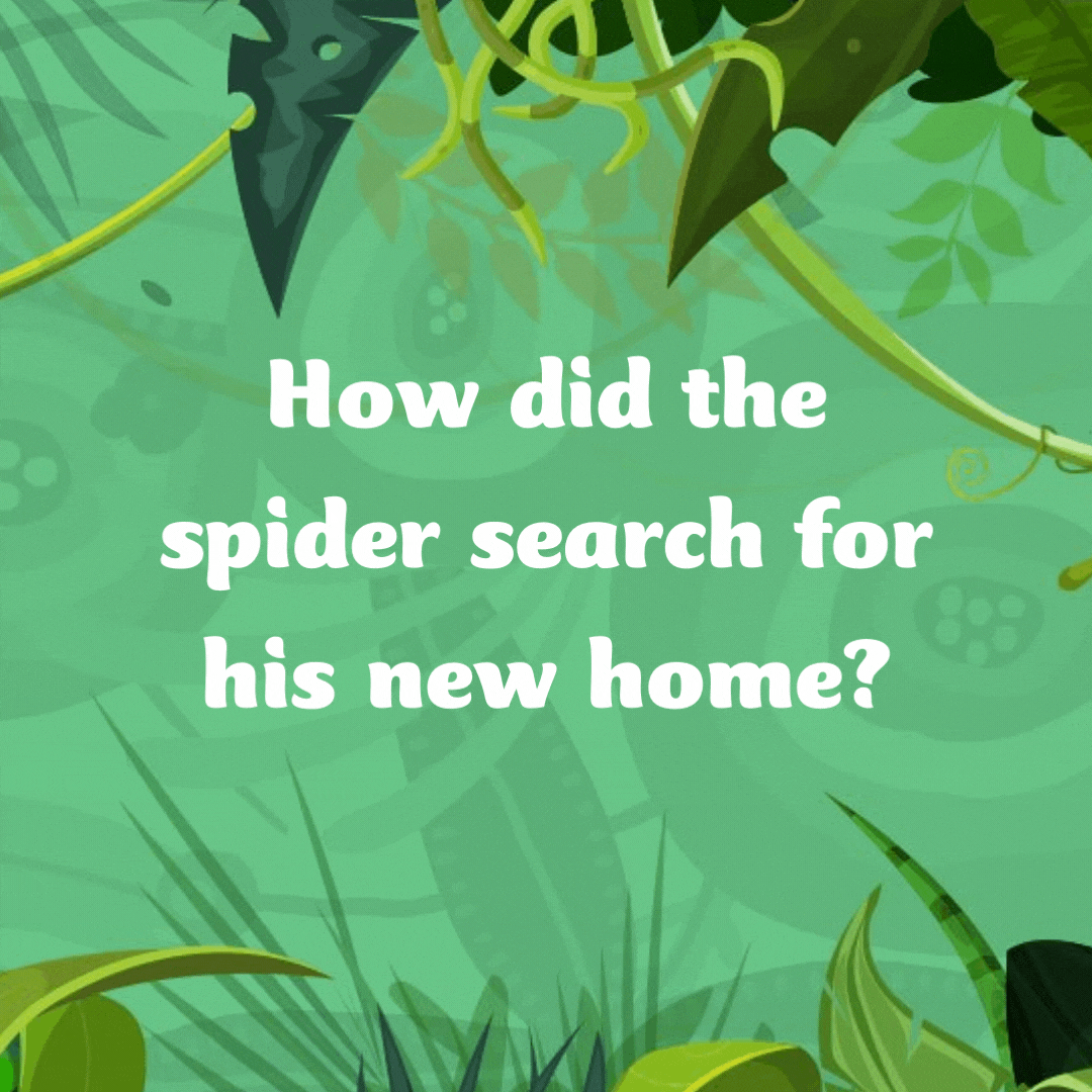 How did the spider search for his new home?