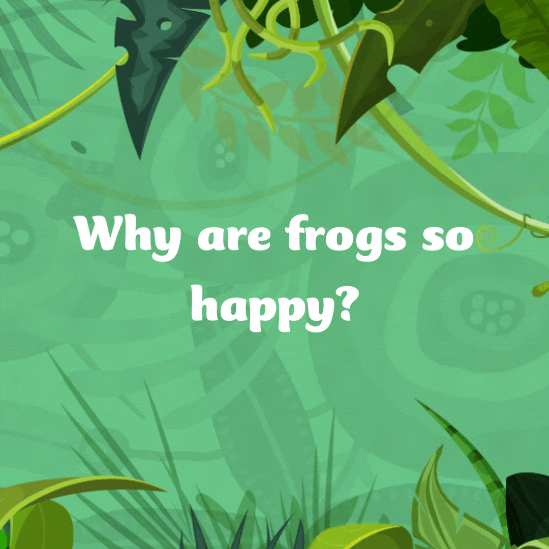 Why are frogs so happy?