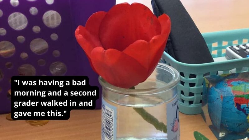 Flower from student - nicest thing students have done