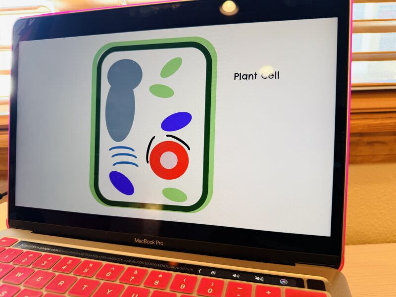 a digital model of a plant cell on a computer screen