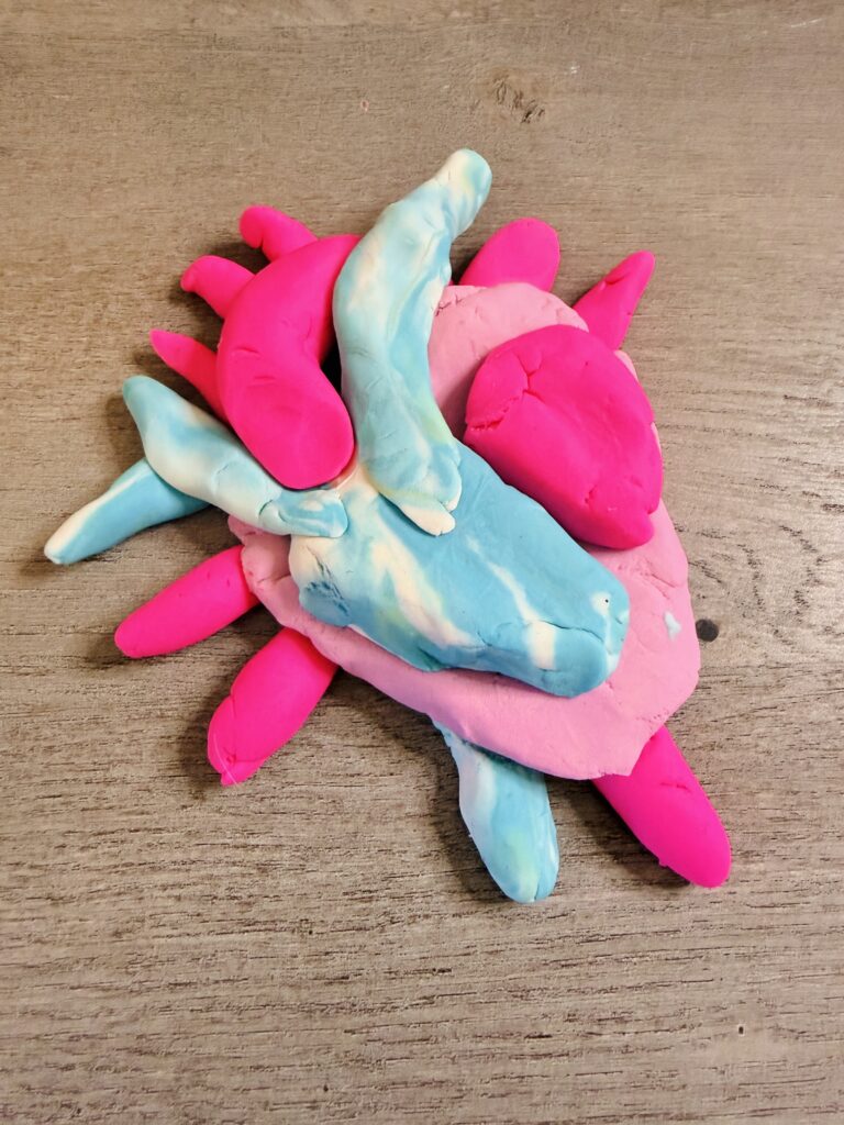 heart made out of play dough to show circulatory system.