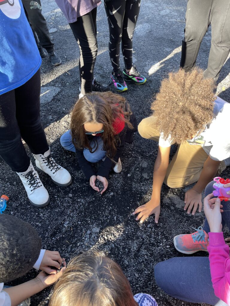 Students doing a science investigation outside