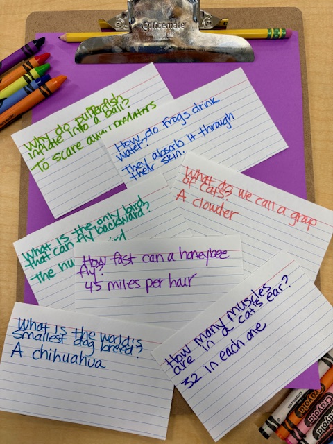 animal facts 3 Colorful notecards with animal facts on top of a purple clipboard