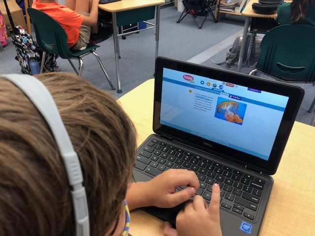 Student viewing the jellyfish page on PebbleGo