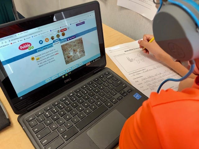 Student researching lions on PebbleGo and writing the information on the report sheet