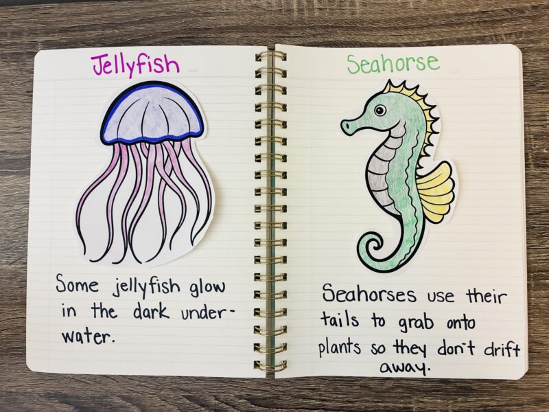 Ocean Activities for Kids an ocean animal notebook open to two pages that highlight a jellyfish fact and a seahorse fact
