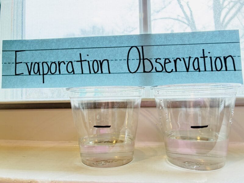 States of Matter Activities a photo of a state of matter activity for kids called evaporation observation where two cups of water are placed in front of a window for students to observe evaporation