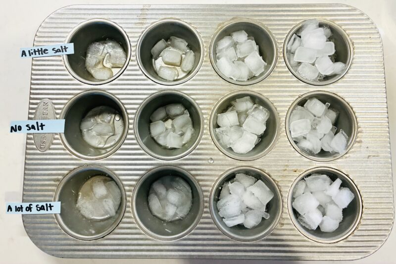 States of Matter Activities a cupcake tray filled with melting ice cubes and one row has a lot of salt, one row has no salt and one row has a lot of salt