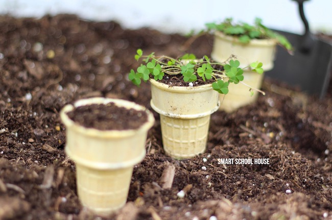 Three ice cream cones stuck in the dirt with plants growing out of the top 