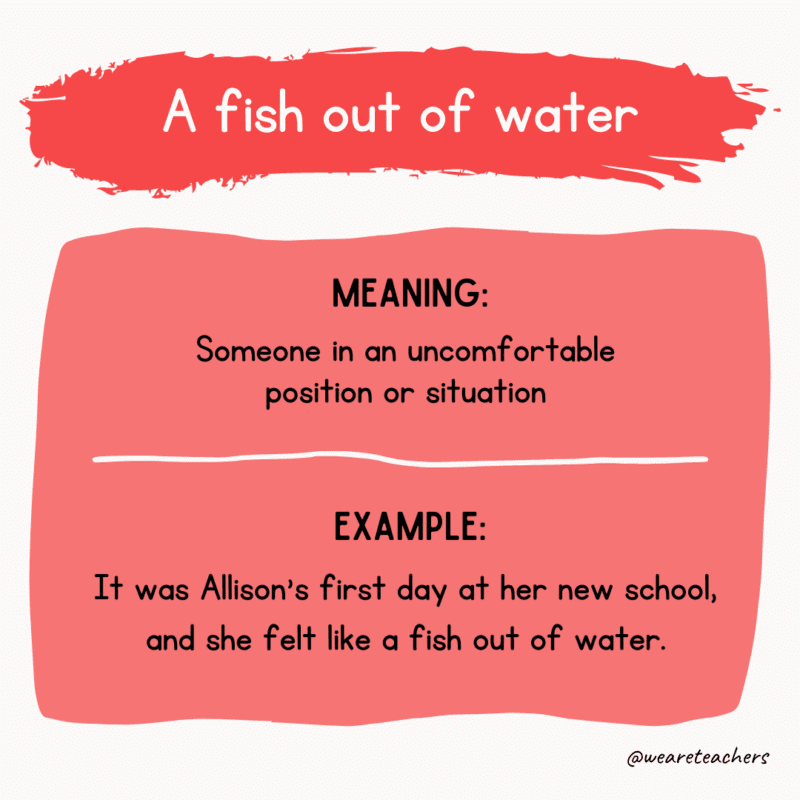 Idiom of the day: A fish out of water