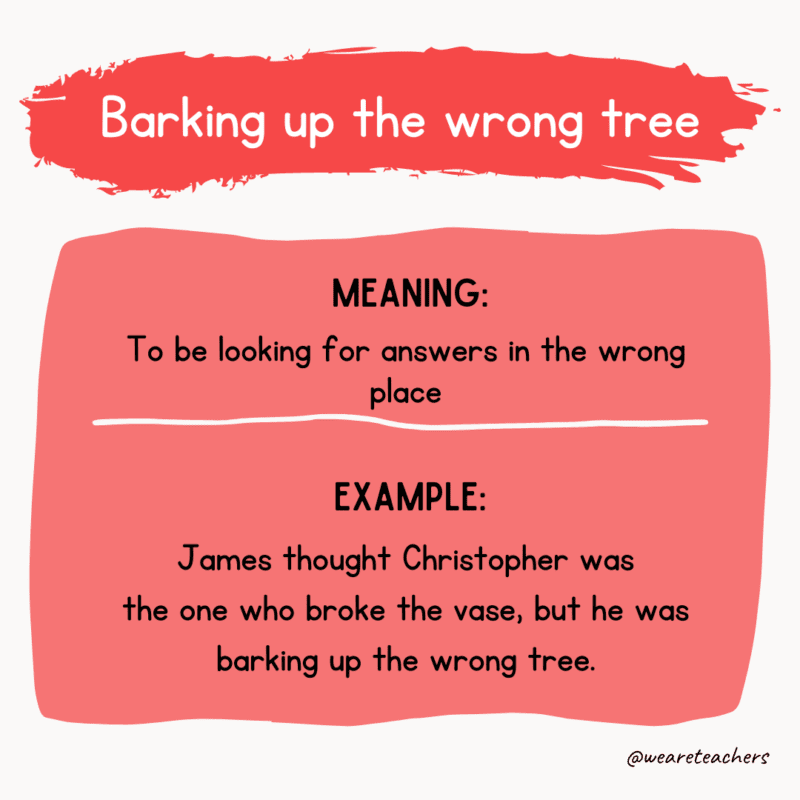 Barking up the wrong tree--idioms of the day