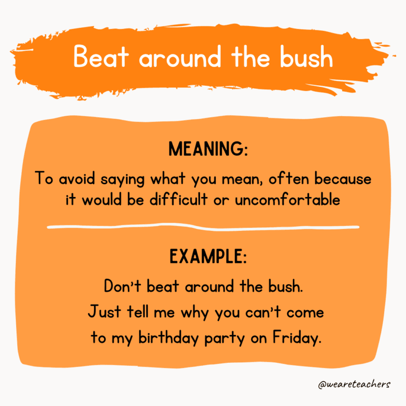 Idiom of the day: Beat around the bush idioms examples
