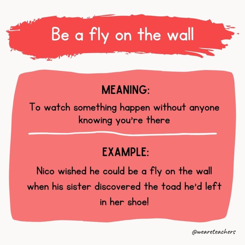 Be a fly on the wall Meaning: To watch something happen without anyone knowing you’re there Example: Nico wished he could be a fly on the wall when his sister discovered the toad he’d left in her shoe!