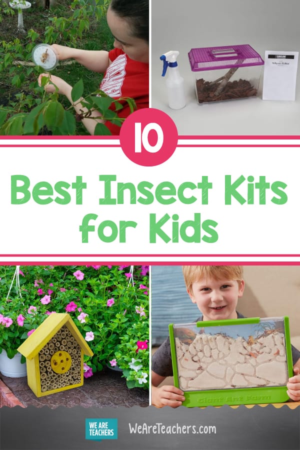 10 Insect Kits to Help Kids Study Bugs Up Close