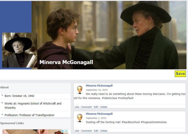 Photo of Harry Potter and Professor McGonagall on a Fakebook profile for Minerva McGonagall 