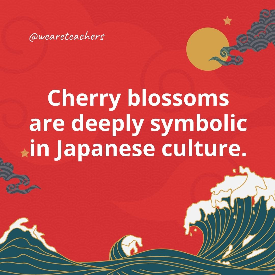 Cherry blossoms are deeply symbolic in Japanese culture.- facts about Japan