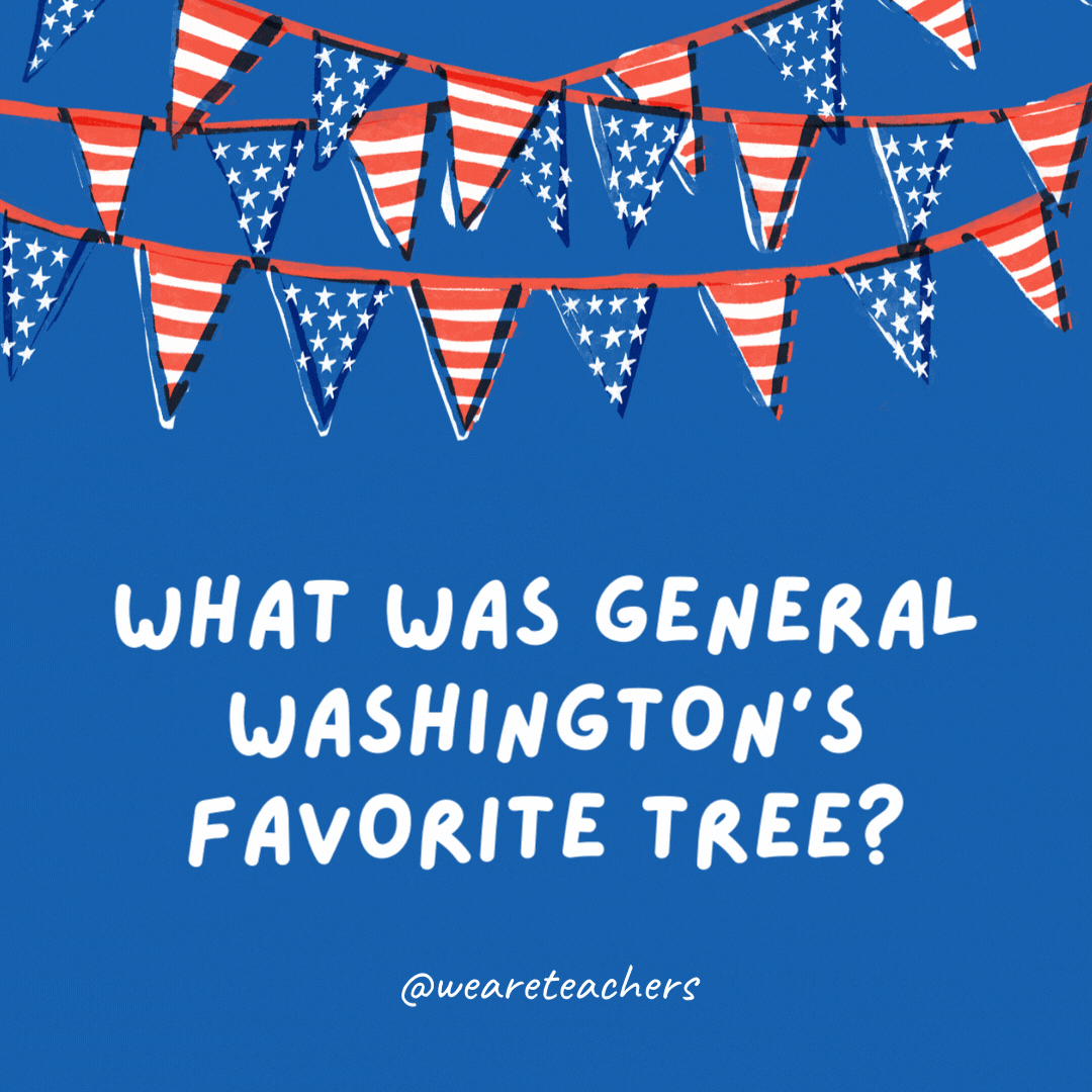 What was General Washington's favorite tree?