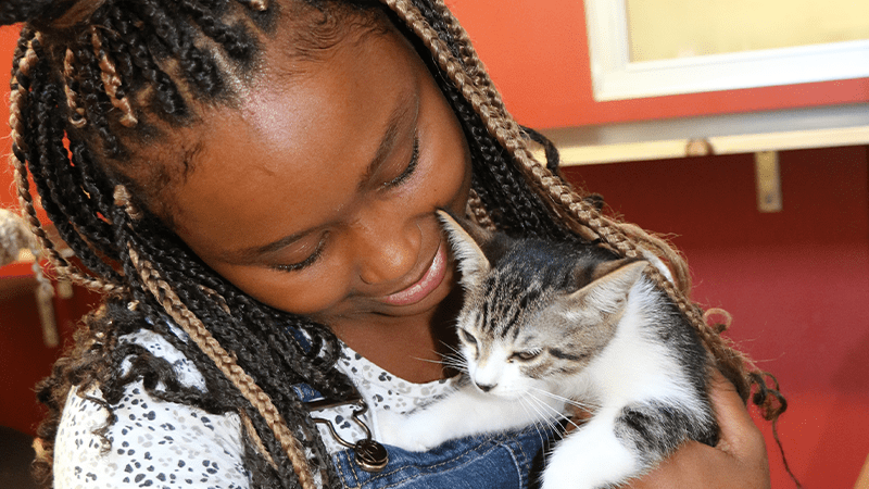 Teenage girl holding kitten -- kind news.