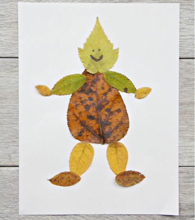 Variety of fall leaves put together to make a figure of a person