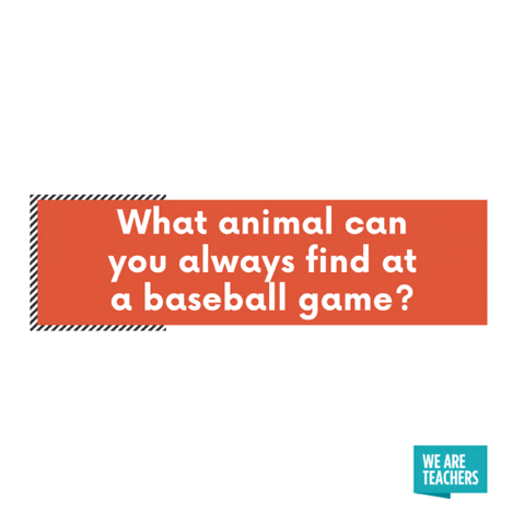 What animal can you always find at a baseball game? A bat!