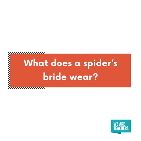 Kindergarten jokes: What does a spider’s bride wear? A webbing dress.