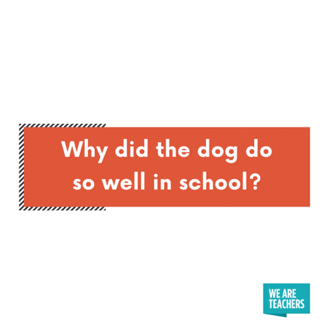 Why did the dog do so well in school? Because he was the teacher’s pet!