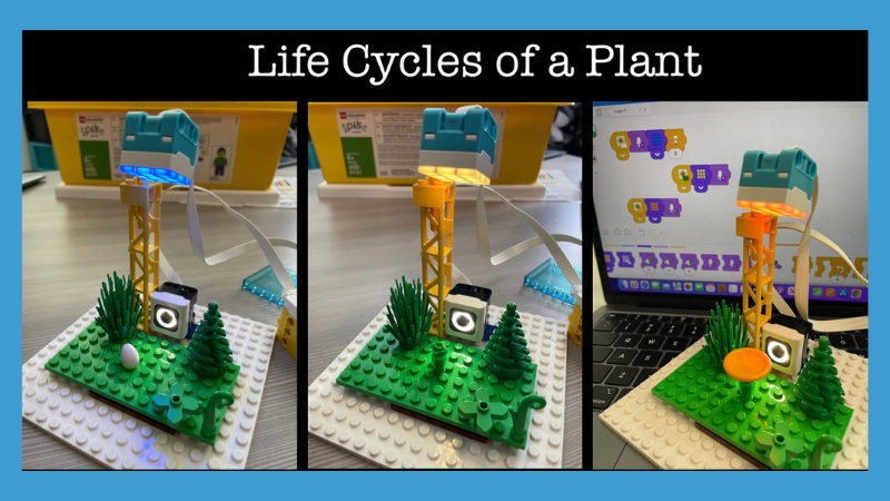 Three pictures of a LEGO project demonstrating the life cycle of a plant