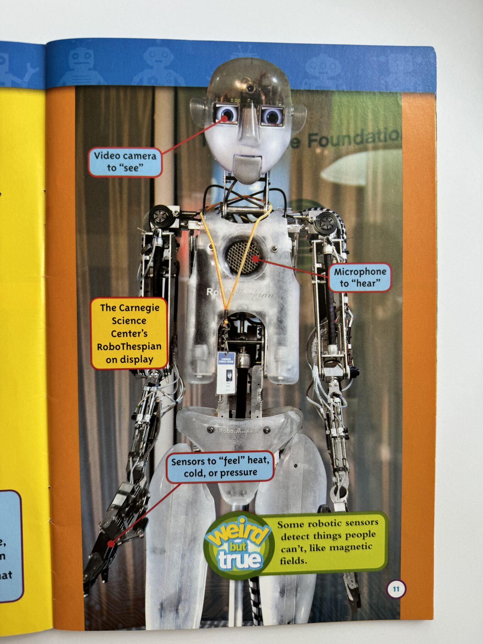 What Are Text Features? Examples and How To Teach Them