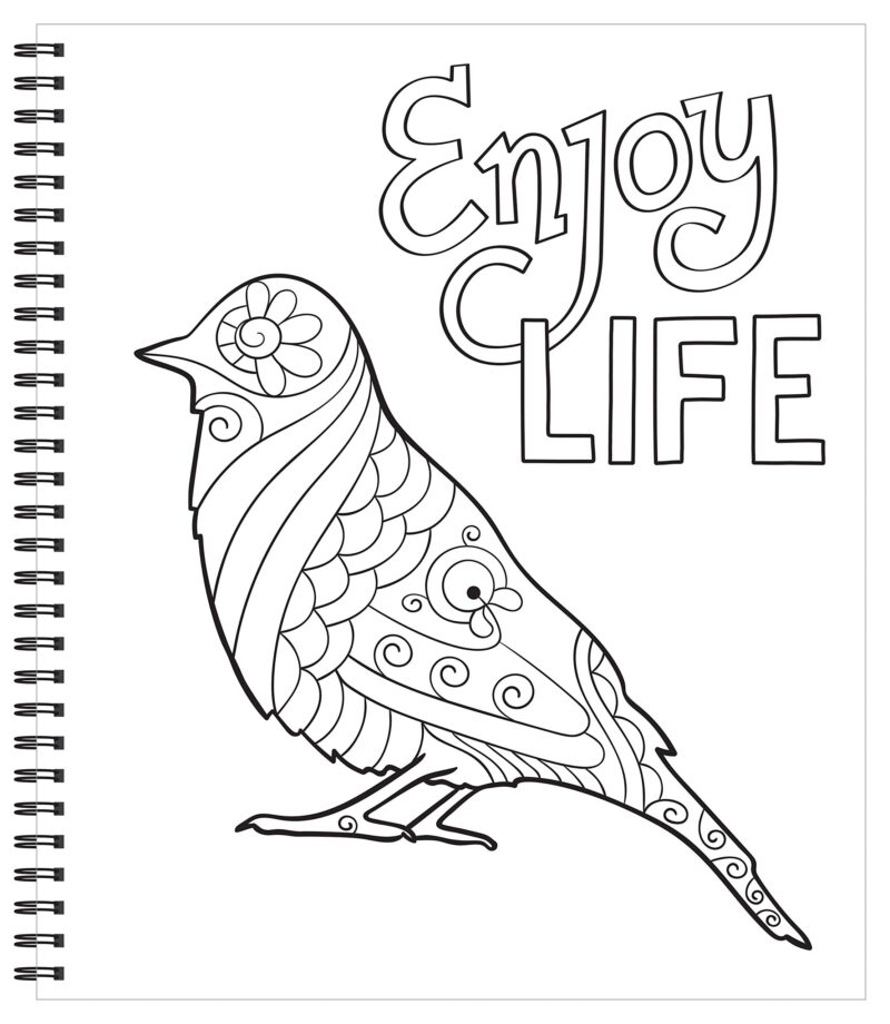 Easy and Simple Adult Coloring Book: A Coloring Book for Adults