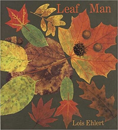 Book cover of Leaf Man by Lois Ehlert, as an example of big books