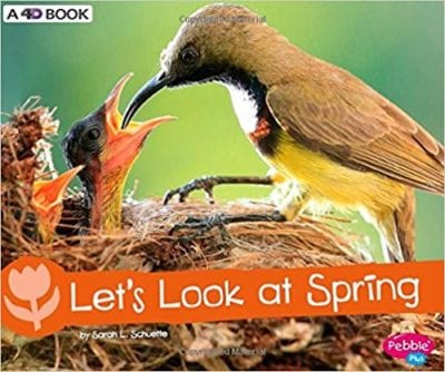 Book Cover for Let's Look at Spring; example of nonfiction spring books for kids