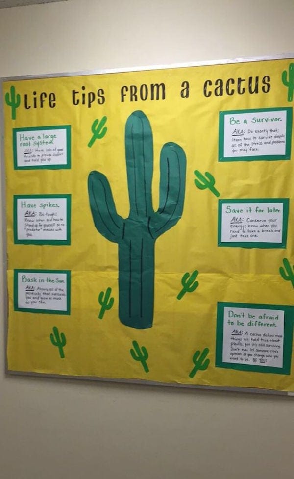 Yellow school "life tips" wall display featuring cactus design