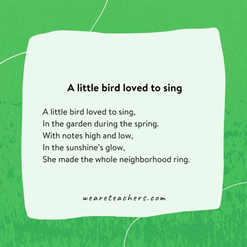 A little bird loved to sing