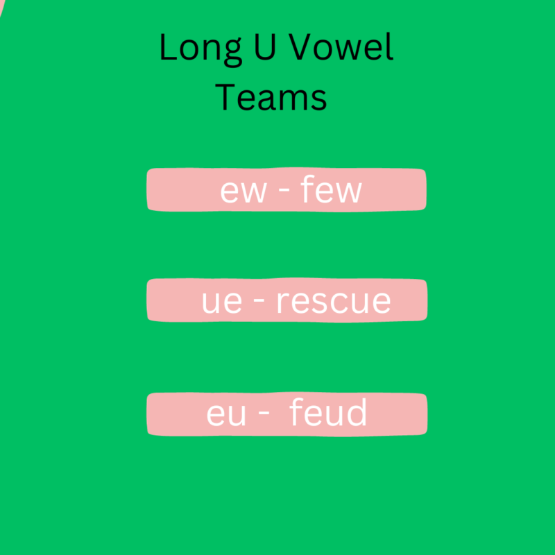 list of long U vowel teams and examples