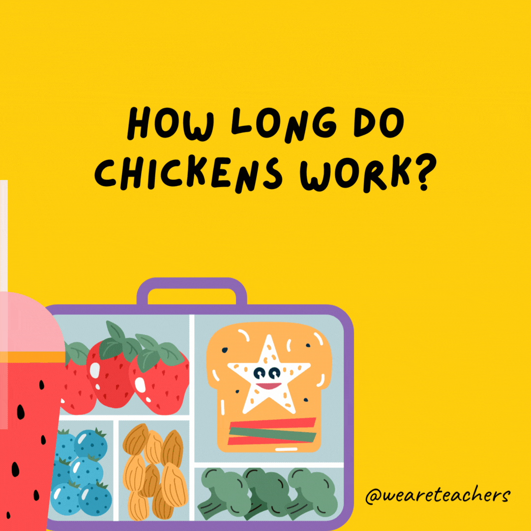 How long do chickens work?- lunch box jokes