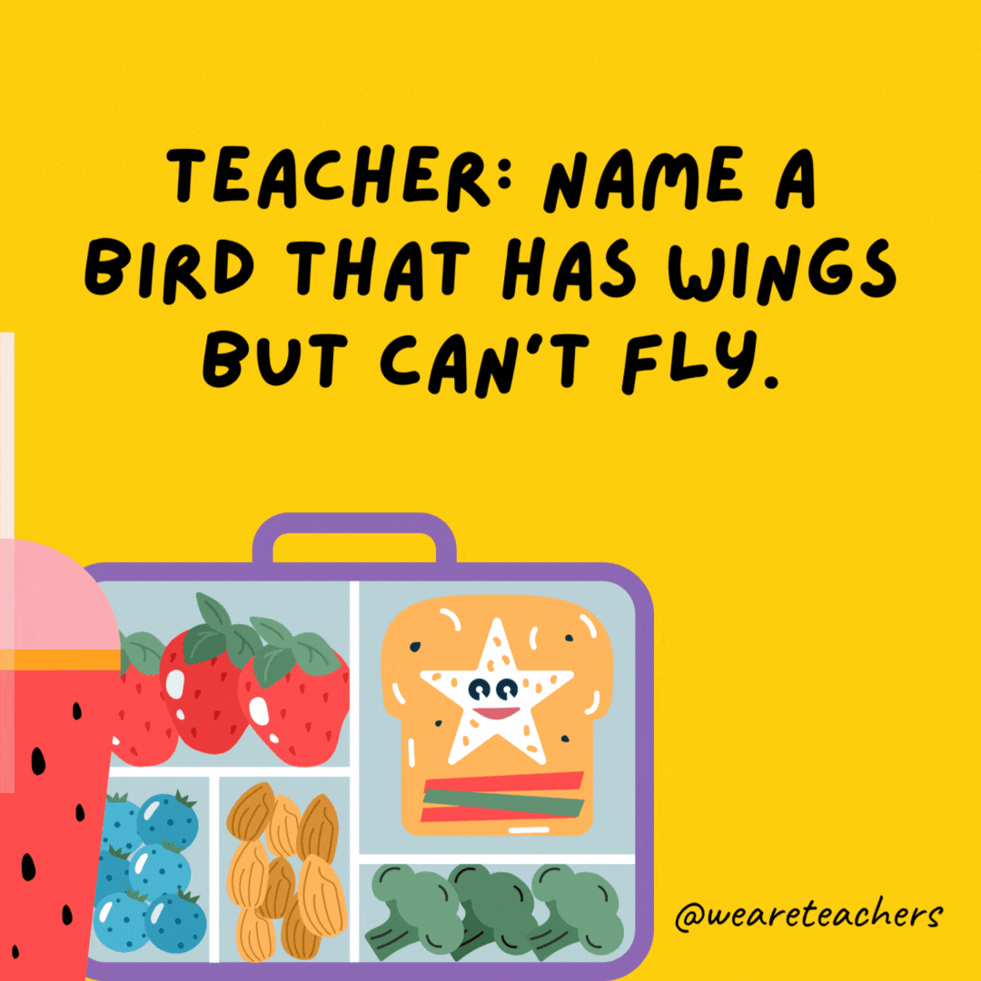 Teacher: Name a bird that has wings but can't fly.- lunch box jokes