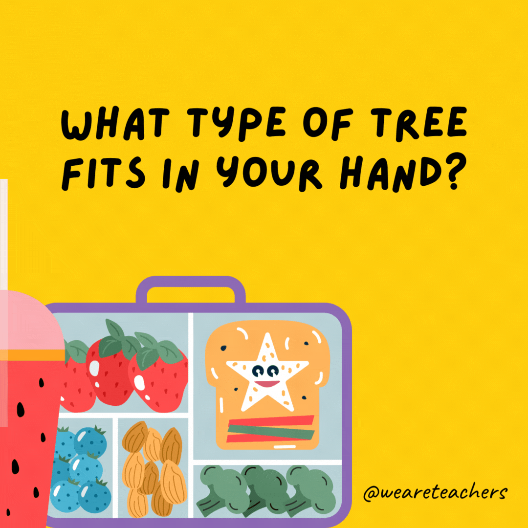 What type of tree fits in your hand?- lunch box jokes