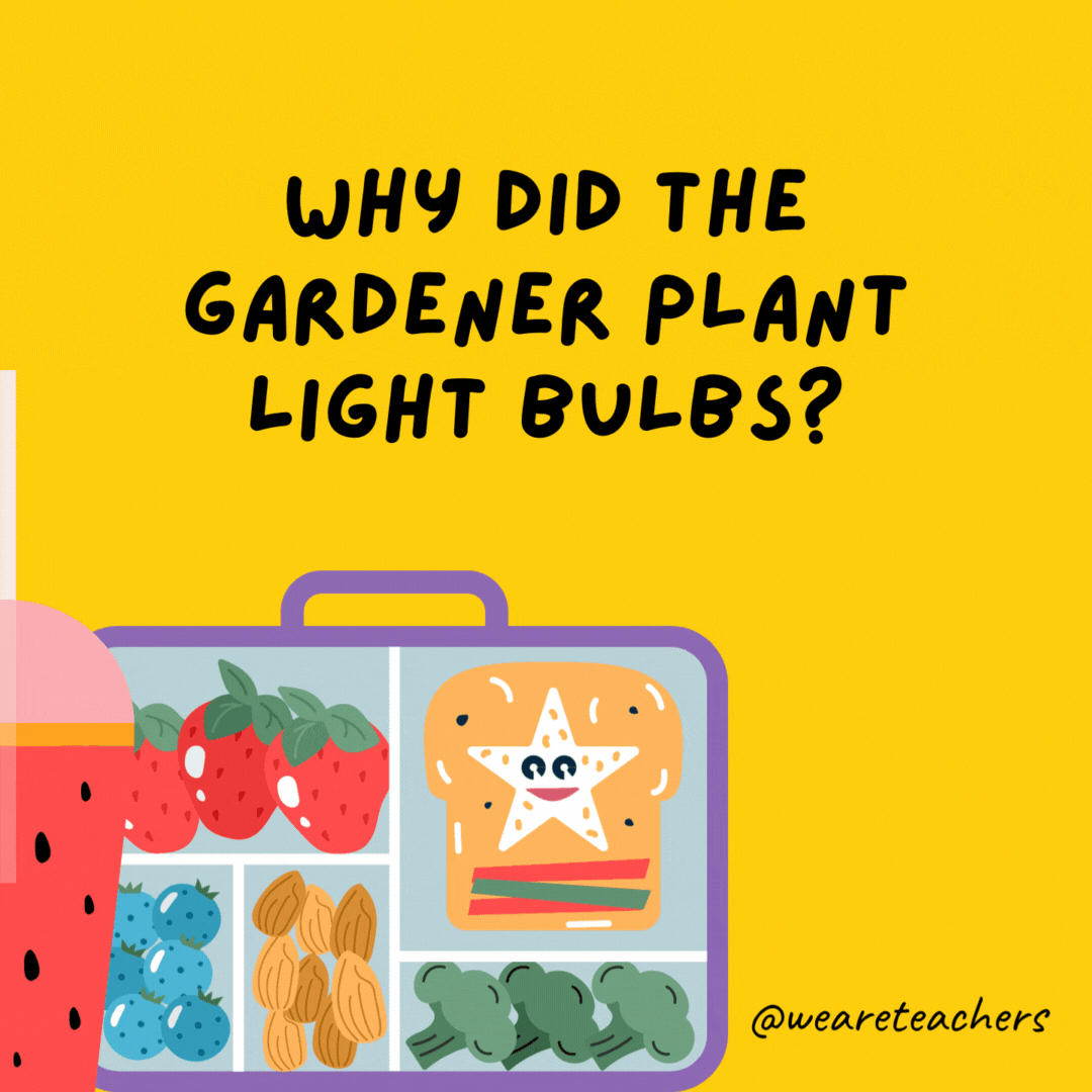Why did the gardener plant light bulbs?