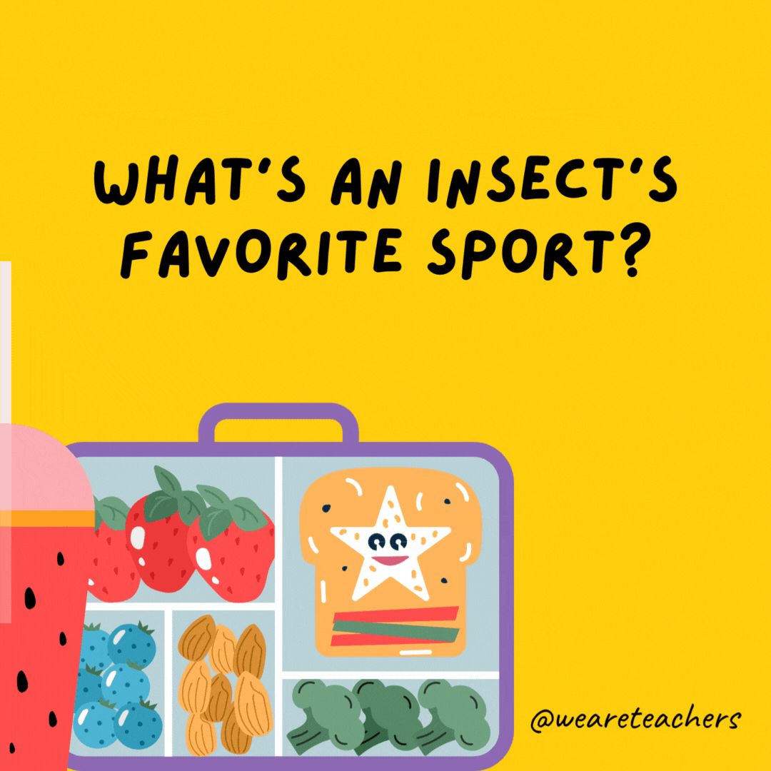 What's an insect's favorite sport?- lunch box jokes