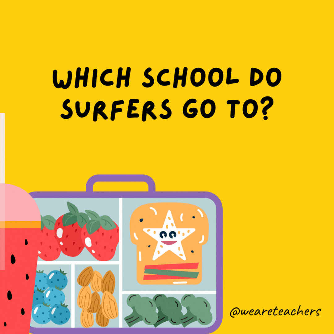 Which school do surfers go to?- lunch box jokes