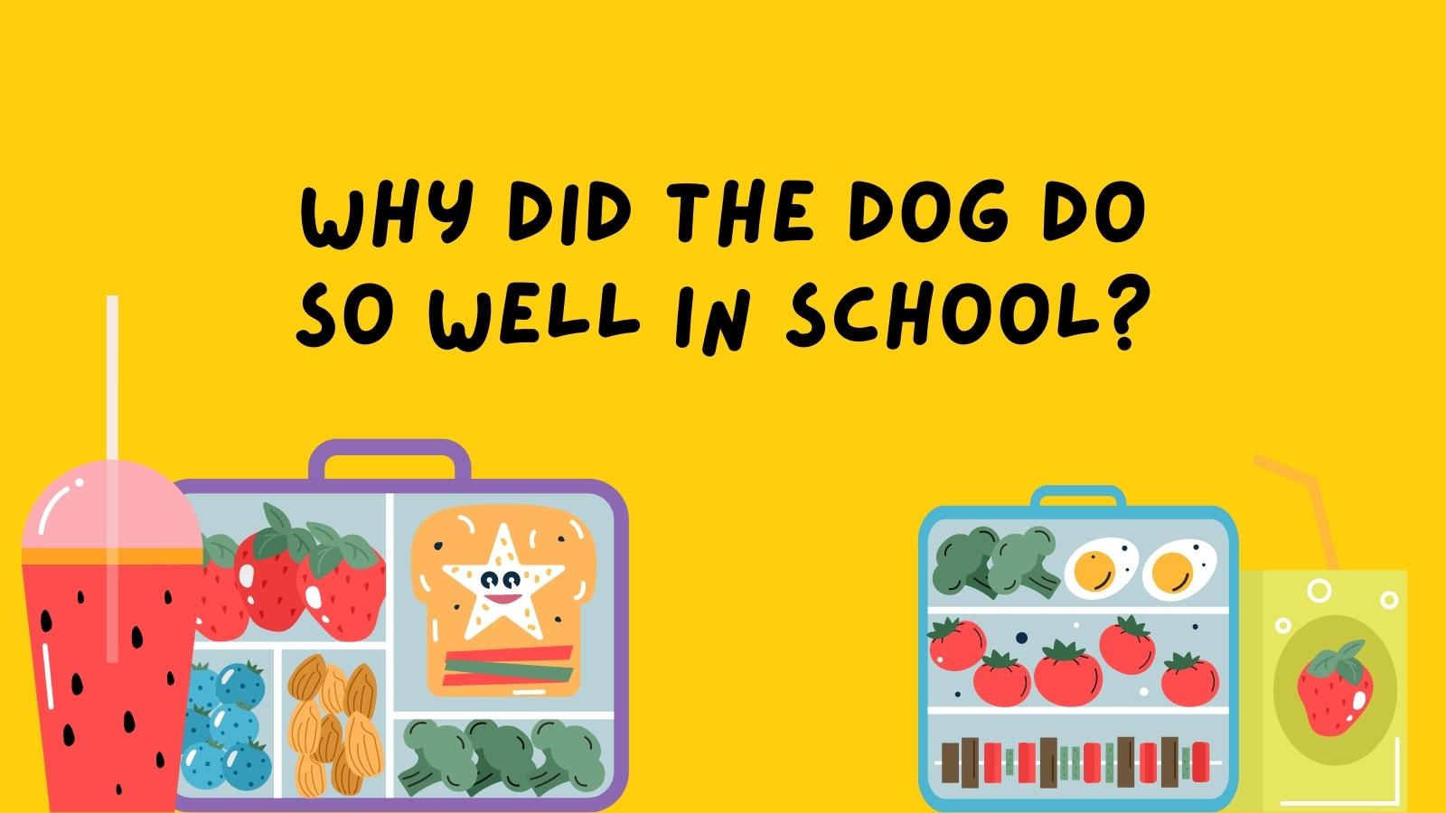 Why did the dog do so well in school?