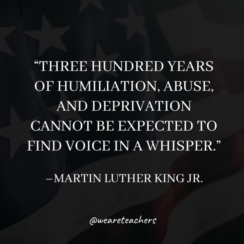 “Three hundred years of humiliation, abuse, and deprivation cannot be expected to find voice in a whisper.”