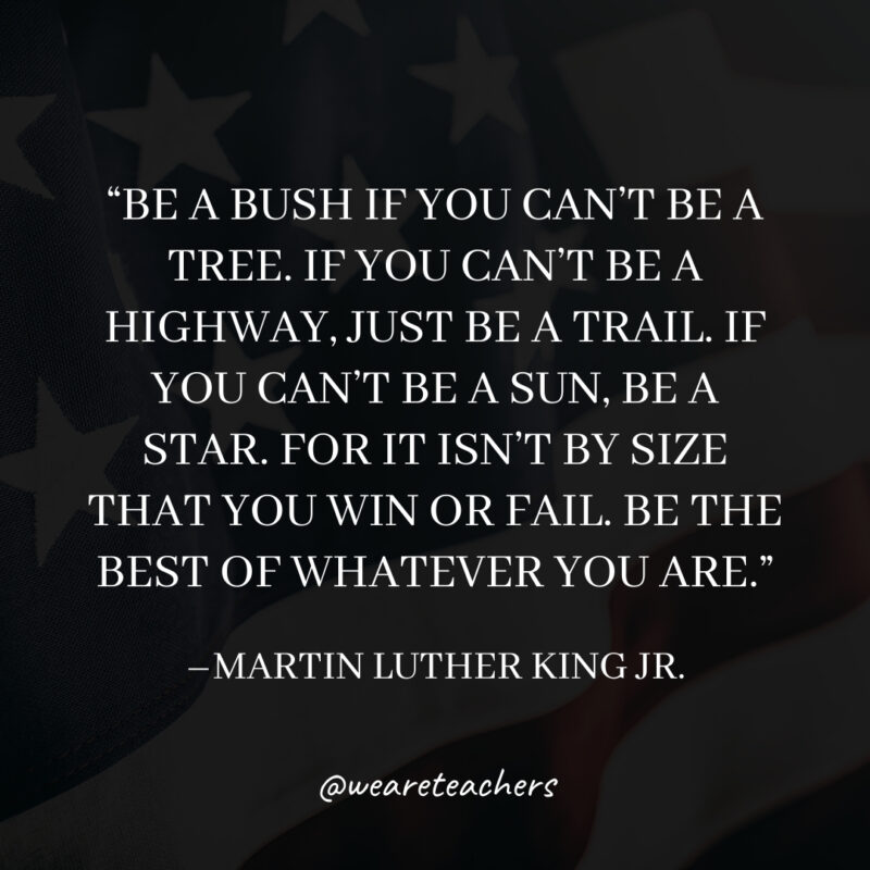 Be a bush if you can’t be a tree. If you can’t be a highway, just be a trail. If you can’t be a sun, be a star. For it isn’t by size that you win or fail. Be the best of whatever you are.
