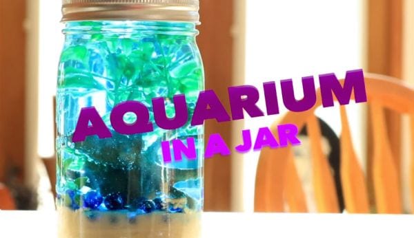 Mason Jars Aquarium DramaticParrot