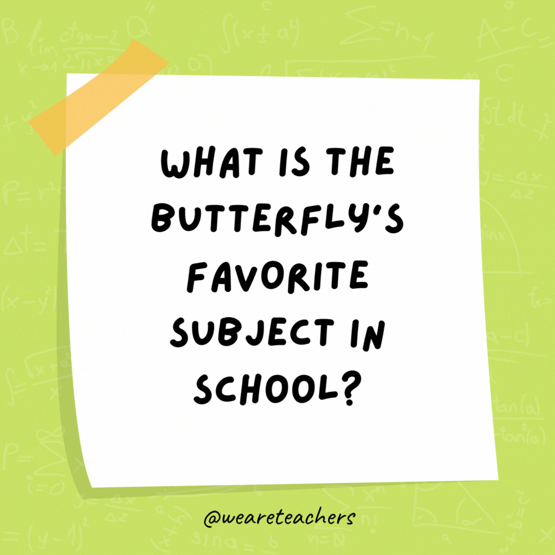 What is the butterfly’s favorite subject in school? Mothematics.