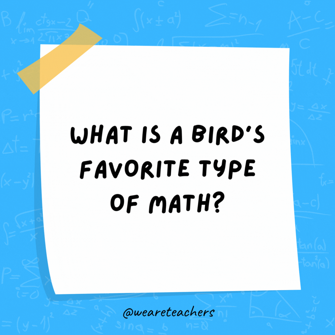 What is a bird’s favorite type of math? Owl-gebra.