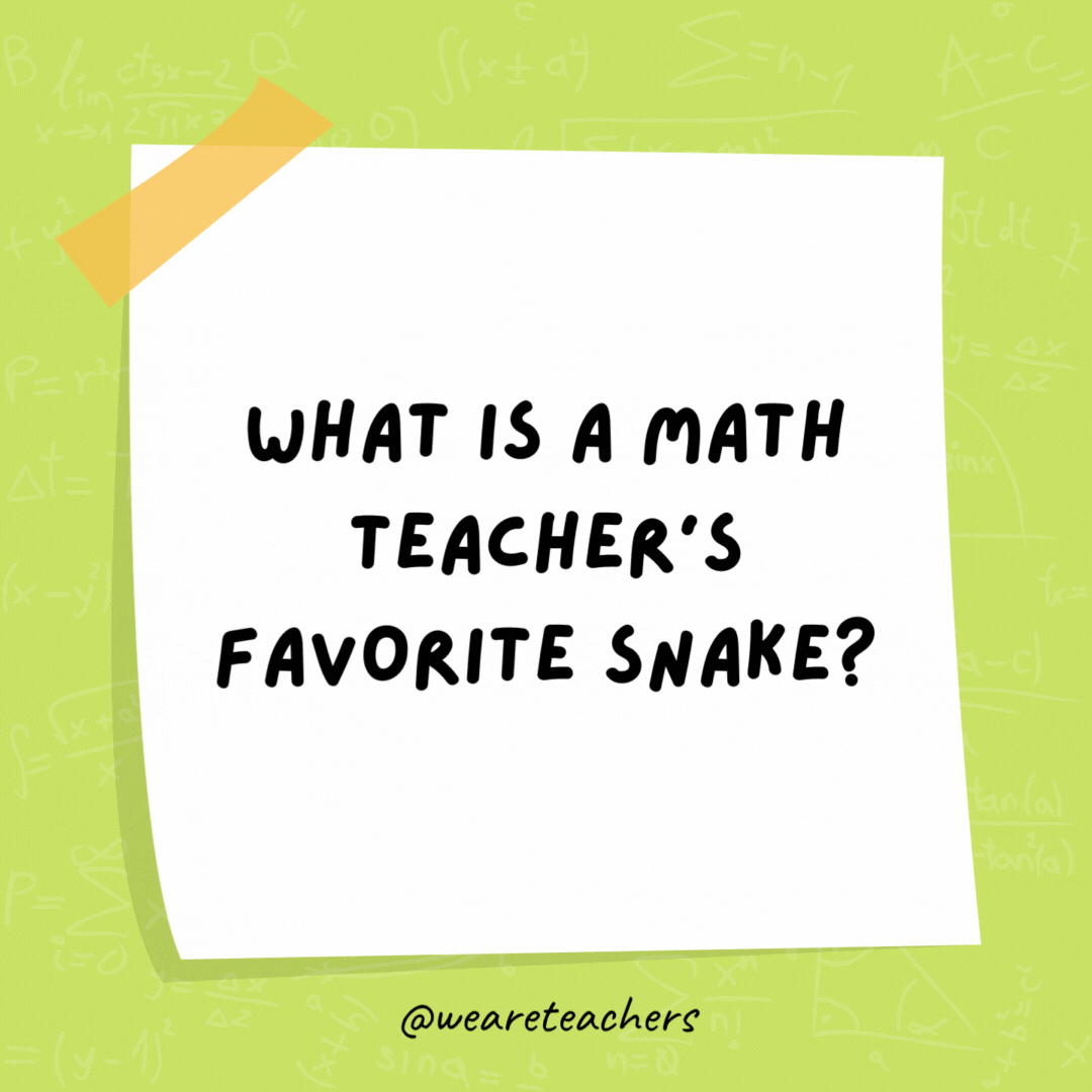 What is a math teacher's favorite snake? A pi-thon.