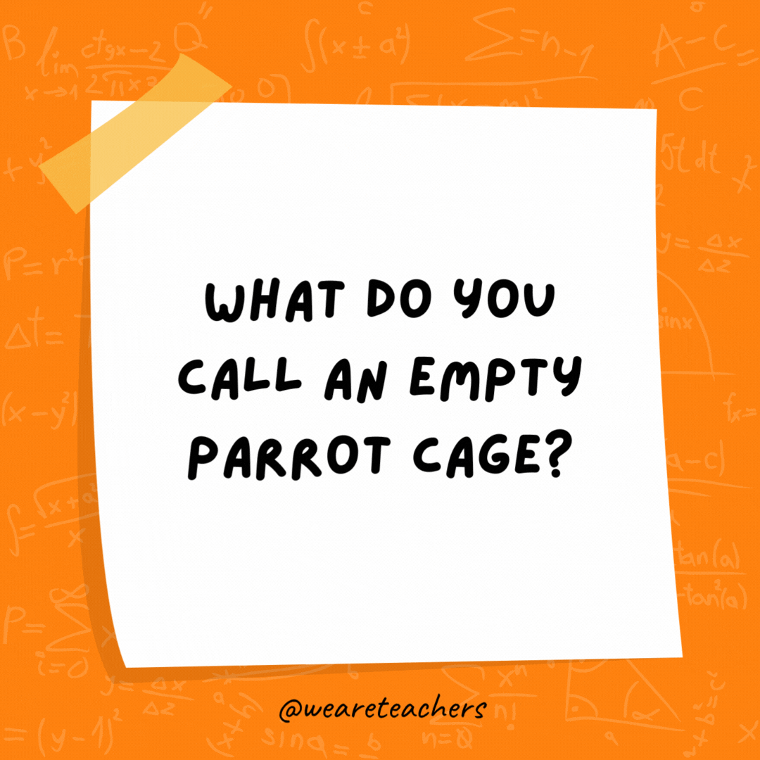 What do you call an empty parrot cage? A polygon. (A Polly gone.)